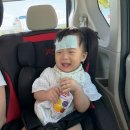 오즈카정비 | 마쓰야마 3박4일 마지막 일정 에미풀미사키 페퍼런치 도고온천 아기랑 일본소도시 여행