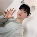 🐯세븐틴 호시 달글🐯 호랑이 동굴 9일차 | 호랑해 의 뜻🐯 호시가 캐럿들을 사랑해＞＜ 호시+사랑해=호랑해🐯 이미지