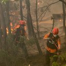 동변중학교 이미지