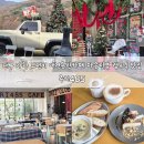 자연광주리협동조합 | 대구 가창 브런치 애견동반카페 크리스마스 마운틴뷰 캠프닉 맛집 주리485