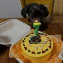 댕수성찬 이미지