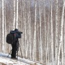 자작나무마을 이미지