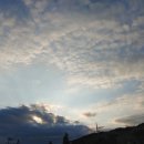 아지트지(G) 이미지