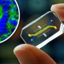 개st하우스 이미지