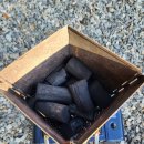 느티나무야영장 이미지