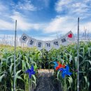 미로정원 이미지