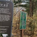 우면산7-2-5 이미지