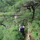 솔나리민박 | 대간 제32-3구간 [저수령~문복대(인증)~감투봉~황장산(인증)~작은차갓재~안생달] 등산 후기(2021. 07. 10.)