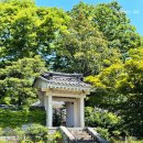 돼지가 미소지을때 이미지