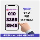 운정상가114부동산공인중개사사무소 | 운정부동산 상가 분석 리포트 : 오프라인 공구마켓 창업 및 입지 가이드