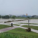 세종태양광발전소 이미지