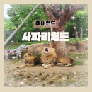 에버랜드 사파리월드 자리명당 자리추천 동물보기 좋은 자리 비오는날 방문 후기