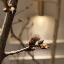 카페아리아 - 광명시 기아로 46 | 카페아리아