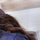 머스트브이 이미지