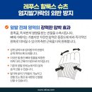 레푸스 두류점 이미지