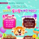 채움 동물병원 이미지