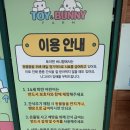 토이농장 | 36개월 아기랑 동물 교감 양평 토끼농장 토이앤 버니팜 후기