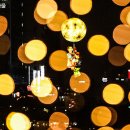 초롱하우스 이미지