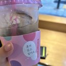 초희세탁 | 😽