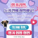하나동물병원 이미지