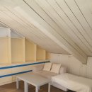 신흥민박 이미지