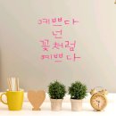 진해여자중학교 이미지