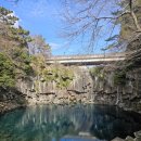 제주 천제연 난대림 | [제주 가족여행] 2월에 만난 봄날, 중문 천제연폭포 방문기 🌿