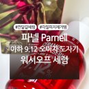 파넬 아하 9.12 오미자 도자기 워시오프 세럼 내돈내산 후기