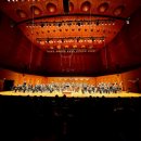 하윌라(Havilah) 이미지