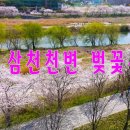 🌸 전주삼천천변 벚꽃구경 드론영상 🌸 [전국명소탐방45] 이미지