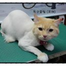 독구클럽 이미지