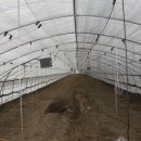 고건농장 이미지