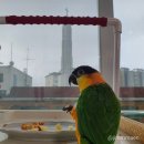 동인동물병원 이미지