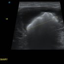 가양동물의료센터 이미지