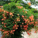 한강시민공원 시계탑 이미지