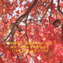 진해여자고등학교 이미지