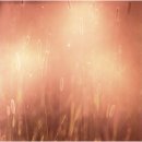 가을노을B 이미지