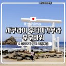 하얀풍경 | 이토시마여행)⛩️ 이토시마 부부바위(후타미가우라) 후기 | 바다 위에 떠있는 하얀 도리이