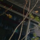 디에이치안광병신경과의원 이미지