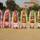 합천고등학교 이미지