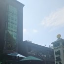 버드나무집 이미지