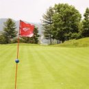 넥서스그린 이미지