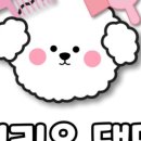 댕댕아 이리온 이미지