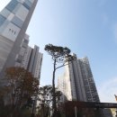 에듀탑공인중개사사무소 이미지