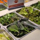 양지-3336 이미지