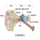 이명.난청과 치매의 연관성(균형기능) 이미지