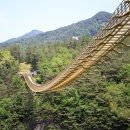 전국의 이름난 출렁다리 찾아서 이미지