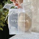 쌍둥이 임신 젠더리빌 이벤트 반셀프 풍선 키트 만들기+후기