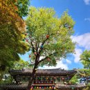 성북동-837 이미지