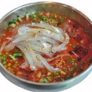 제주물회 티스토리